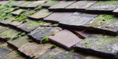 Rhosneigr roof repair costs